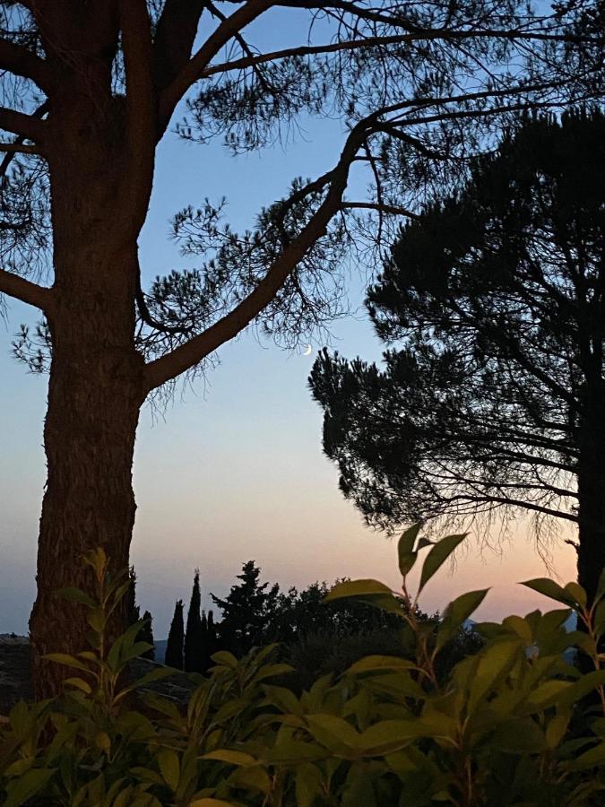Les Lodges De Saint Cassien مونتارو المظهر الخارجي الصورة