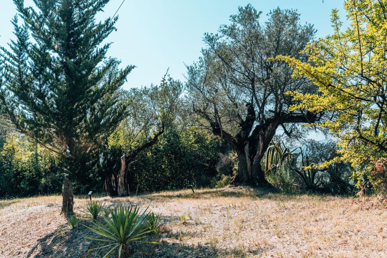 Les Lodges De Saint Cassien مونتارو المظهر الخارجي الصورة